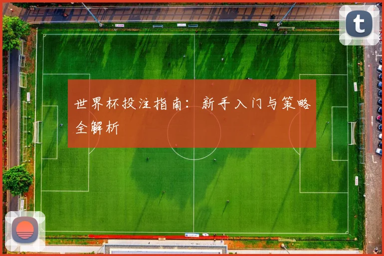 世界杯投注指南:新手入门与策略全解析