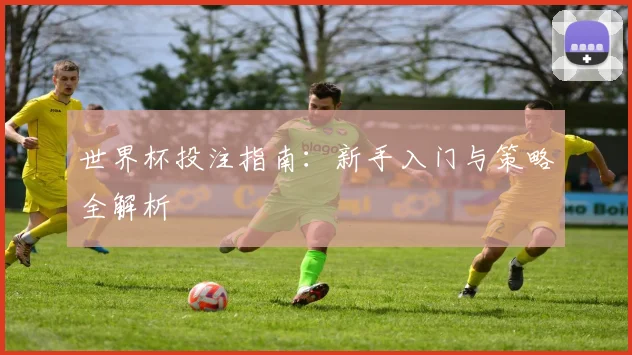 世界杯投注指南：新手入门与策略全解析